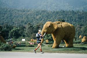 BIB: 
                            <button type="button" onclick="openModal(25885187)" class="btn btn-primary btn-sm float-right btn-popup" data-toggle="modal" data-target=".modal-high-quality">
                        <i class="fas fa-shopping-cart"></i> Add to Cart
                    </button>
                                            <button type="button" onclick="isThisMe(25885187, true)" class="btn btn-success btn-sm float-right btn-popup btn-isme hidden" data-toggle="tooltip" data-placement="bottom" title="นี่คือรูปของคุณใช่ไหม คลิกที่นี่เพื่อเอาเข้าอัลบั้ม">
                        <i class="fas fa-plus"></i> Add to album
                    </button>
                    <button type="button" onclick="isThisMe(25885187, false)" class="btn btn-warning btn-sm float-right btn-popup btn-isnotme hidden">
                        <i class="fas fa-ban"></i> Remove from album
                    </button>