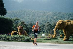 BIB: 
                            <button type="button" onclick="openModal(25947683)" class="btn btn-primary btn-sm float-right btn-popup" data-toggle="modal" data-target=".modal-high-quality">
                        <i class="fas fa-shopping-cart"></i> Add to Cart
                    </button>
                                            <button type="button" onclick="isThisMe(25947683, true)" class="btn btn-success btn-sm float-right btn-popup btn-isme hidden" data-toggle="tooltip" data-placement="bottom" title="นี่คือรูปของคุณใช่ไหม คลิกที่นี่เพื่อเอาเข้าอัลบั้ม">
                        <i class="fas fa-plus"></i> Add to album
                    </button>
                    <button type="button" onclick="isThisMe(25947683, false)" class="btn btn-warning btn-sm float-right btn-popup btn-isnotme hidden">
                        <i class="fas fa-ban"></i> Remove from album
                    </button>