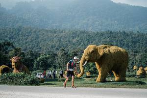 BIB: 
                            <button type="button" onclick="openModal(25875871)" class="btn btn-primary btn-sm float-right btn-popup" data-toggle="modal" data-target=".modal-high-quality">
                        <i class="fas fa-shopping-cart"></i> Add to Cart
                    </button>
                                            <button type="button" onclick="isThisMe(25875871, true)" class="btn btn-success btn-sm float-right btn-popup btn-isme hidden" data-toggle="tooltip" data-placement="bottom" title="นี่คือรูปของคุณใช่ไหม คลิกที่นี่เพื่อเอาเข้าอัลบั้ม">
                        <i class="fas fa-plus"></i> Add to album
                    </button>
                    <button type="button" onclick="isThisMe(25875871, false)" class="btn btn-warning btn-sm float-right btn-popup btn-isnotme hidden">
                        <i class="fas fa-ban"></i> Remove from album
                    </button>