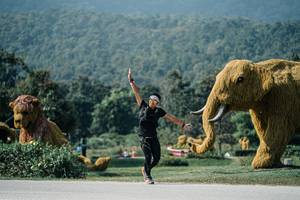 BIB: 
                            <button type="button" onclick="openModal(25911833)" class="btn btn-primary btn-sm float-right btn-popup" data-toggle="modal" data-target=".modal-high-quality">
                        <i class="fas fa-shopping-cart"></i> Add to Cart
                    </button>
                                            <button type="button" onclick="isThisMe(25911833, true)" class="btn btn-success btn-sm float-right btn-popup btn-isme hidden" data-toggle="tooltip" data-placement="bottom" title="นี่คือรูปของคุณใช่ไหม คลิกที่นี่เพื่อเอาเข้าอัลบั้ม">
                        <i class="fas fa-plus"></i> Add to album
                    </button>
                    <button type="button" onclick="isThisMe(25911833, false)" class="btn btn-warning btn-sm float-right btn-popup btn-isnotme hidden">
                        <i class="fas fa-ban"></i> Remove from album
                    </button>