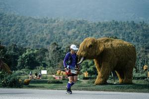 BIB: 
                            <button type="button" onclick="openModal(25898754)" class="btn btn-primary btn-sm float-right btn-popup" data-toggle="modal" data-target=".modal-high-quality">
                        <i class="fas fa-shopping-cart"></i> Add to Cart
                    </button>
                                            <button type="button" onclick="isThisMe(25898754, true)" class="btn btn-success btn-sm float-right btn-popup btn-isme hidden" data-toggle="tooltip" data-placement="bottom" title="นี่คือรูปของคุณใช่ไหม คลิกที่นี่เพื่อเอาเข้าอัลบั้ม">
                        <i class="fas fa-plus"></i> Add to album
                    </button>
                    <button type="button" onclick="isThisMe(25898754, false)" class="btn btn-warning btn-sm float-right btn-popup btn-isnotme hidden">
                        <i class="fas fa-ban"></i> Remove from album
                    </button>