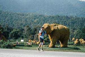 BIB: 
                            <button type="button" onclick="openModal(25887166)" class="btn btn-primary btn-sm float-right btn-popup" data-toggle="modal" data-target=".modal-high-quality">
                        <i class="fas fa-shopping-cart"></i> Add to Cart
                    </button>
                                            <button type="button" onclick="isThisMe(25887166, true)" class="btn btn-success btn-sm float-right btn-popup btn-isme hidden" data-toggle="tooltip" data-placement="bottom" title="นี่คือรูปของคุณใช่ไหม คลิกที่นี่เพื่อเอาเข้าอัลบั้ม">
                        <i class="fas fa-plus"></i> Add to album
                    </button>
                    <button type="button" onclick="isThisMe(25887166, false)" class="btn btn-warning btn-sm float-right btn-popup btn-isnotme hidden">
                        <i class="fas fa-ban"></i> Remove from album
                    </button>