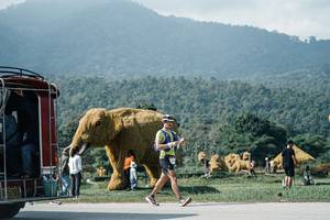 BIB: 
                            <button type="button" onclick="openModal(25917452)" class="btn btn-primary btn-sm float-right btn-popup" data-toggle="modal" data-target=".modal-high-quality">
                        <i class="fas fa-shopping-cart"></i> Add to Cart
                    </button>
                                            <button type="button" onclick="isThisMe(25917452, true)" class="btn btn-success btn-sm float-right btn-popup btn-isme hidden" data-toggle="tooltip" data-placement="bottom" title="นี่คือรูปของคุณใช่ไหม คลิกที่นี่เพื่อเอาเข้าอัลบั้ม">
                        <i class="fas fa-plus"></i> Add to album
                    </button>
                    <button type="button" onclick="isThisMe(25917452, false)" class="btn btn-warning btn-sm float-right btn-popup btn-isnotme hidden">
                        <i class="fas fa-ban"></i> Remove from album
                    </button>