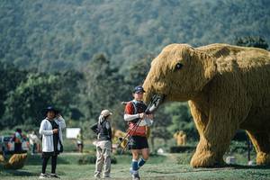 BIB: 
                            <button type="button" onclick="openModal(25918755)" class="btn btn-primary btn-sm float-right btn-popup" data-toggle="modal" data-target=".modal-high-quality">
                        <i class="fas fa-shopping-cart"></i> Add to Cart
                    </button>
                                            <button type="button" onclick="isThisMe(25918755, true)" class="btn btn-success btn-sm float-right btn-popup btn-isme hidden" data-toggle="tooltip" data-placement="bottom" title="นี่คือรูปของคุณใช่ไหม คลิกที่นี่เพื่อเอาเข้าอัลบั้ม">
                        <i class="fas fa-plus"></i> Add to album
                    </button>
                    <button type="button" onclick="isThisMe(25918755, false)" class="btn btn-warning btn-sm float-right btn-popup btn-isnotme hidden">
                        <i class="fas fa-ban"></i> Remove from album
                    </button>