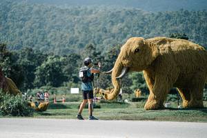 BIB: 
                            <button type="button" onclick="openModal(25921460)" class="btn btn-primary btn-sm float-right btn-popup" data-toggle="modal" data-target=".modal-high-quality">
                        <i class="fas fa-shopping-cart"></i> Add to Cart
                    </button>
                                            <button type="button" onclick="isThisMe(25921460, true)" class="btn btn-success btn-sm float-right btn-popup btn-isme hidden" data-toggle="tooltip" data-placement="bottom" title="นี่คือรูปของคุณใช่ไหม คลิกที่นี่เพื่อเอาเข้าอัลบั้ม">
                        <i class="fas fa-plus"></i> Add to album
                    </button>
                    <button type="button" onclick="isThisMe(25921460, false)" class="btn btn-warning btn-sm float-right btn-popup btn-isnotme hidden">
                        <i class="fas fa-ban"></i> Remove from album
                    </button>