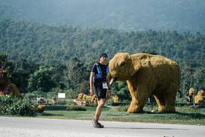 BIB: 
                            <button type="button" onclick="openModal(25896068)" class="btn btn-primary btn-sm float-right btn-popup" data-toggle="modal" data-target=".modal-high-quality">
                        <i class="fas fa-shopping-cart"></i> Add to Cart
                    </button>
                                            <button type="button" onclick="isThisMe(25896068, true)" class="btn btn-success btn-sm float-right btn-popup btn-isme hidden" data-toggle="tooltip" data-placement="bottom" title="นี่คือรูปของคุณใช่ไหม คลิกที่นี่เพื่อเอาเข้าอัลบั้ม">
                        <i class="fas fa-plus"></i> Add to album
                    </button>
                    <button type="button" onclick="isThisMe(25896068, false)" class="btn btn-warning btn-sm float-right btn-popup btn-isnotme hidden">
                        <i class="fas fa-ban"></i> Remove from album
                    </button>