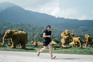 BIB: 
                            <button type="button" onclick="openModal(25949099)" class="btn btn-primary btn-sm float-right btn-popup" data-toggle="modal" data-target=".modal-high-quality">
                        <i class="fas fa-shopping-cart"></i> Add to Cart
                    </button>
                                            <button type="button" onclick="isThisMe(25949099, true)" class="btn btn-success btn-sm float-right btn-popup btn-isme hidden" data-toggle="tooltip" data-placement="bottom" title="นี่คือรูปของคุณใช่ไหม คลิกที่นี่เพื่อเอาเข้าอัลบั้ม">
                        <i class="fas fa-plus"></i> Add to album
                    </button>
                    <button type="button" onclick="isThisMe(25949099, false)" class="btn btn-warning btn-sm float-right btn-popup btn-isnotme hidden">
                        <i class="fas fa-ban"></i> Remove from album
                    </button>