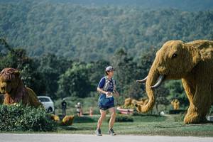 BIB: 
                            <button type="button" onclick="openModal(25922692)" class="btn btn-primary btn-sm float-right btn-popup" data-toggle="modal" data-target=".modal-high-quality">
                        <i class="fas fa-shopping-cart"></i> Add to Cart
                    </button>
                                            <button type="button" onclick="isThisMe(25922692, true)" class="btn btn-success btn-sm float-right btn-popup btn-isme hidden" data-toggle="tooltip" data-placement="bottom" title="นี่คือรูปของคุณใช่ไหม คลิกที่นี่เพื่อเอาเข้าอัลบั้ม">
                        <i class="fas fa-plus"></i> Add to album
                    </button>
                    <button type="button" onclick="isThisMe(25922692, false)" class="btn btn-warning btn-sm float-right btn-popup btn-isnotme hidden">
                        <i class="fas fa-ban"></i> Remove from album
                    </button>