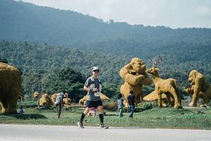 BIB: 
                            <button type="button" onclick="openModal(25944103)" class="btn btn-primary btn-sm float-right btn-popup" data-toggle="modal" data-target=".modal-high-quality">
                        <i class="fas fa-shopping-cart"></i> Add to Cart
                    </button>
                                            <button type="button" onclick="isThisMe(25944103, true)" class="btn btn-success btn-sm float-right btn-popup btn-isme hidden" data-toggle="tooltip" data-placement="bottom" title="นี่คือรูปของคุณใช่ไหม คลิกที่นี่เพื่อเอาเข้าอัลบั้ม">
                        <i class="fas fa-plus"></i> Add to album
                    </button>
                    <button type="button" onclick="isThisMe(25944103, false)" class="btn btn-warning btn-sm float-right btn-popup btn-isnotme hidden">
                        <i class="fas fa-ban"></i> Remove from album
                    </button>