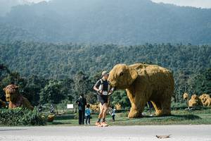 BIB: 
                            <button type="button" onclick="openModal(25889573)" class="btn btn-primary btn-sm float-right btn-popup" data-toggle="modal" data-target=".modal-high-quality">
                        <i class="fas fa-shopping-cart"></i> Add to Cart
                    </button>
                                            <button type="button" onclick="isThisMe(25889573, true)" class="btn btn-success btn-sm float-right btn-popup btn-isme hidden" data-toggle="tooltip" data-placement="bottom" title="นี่คือรูปของคุณใช่ไหม คลิกที่นี่เพื่อเอาเข้าอัลบั้ม">
                        <i class="fas fa-plus"></i> Add to album
                    </button>
                    <button type="button" onclick="isThisMe(25889573, false)" class="btn btn-warning btn-sm float-right btn-popup btn-isnotme hidden">
                        <i class="fas fa-ban"></i> Remove from album
                    </button>