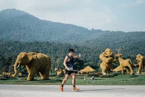 BIB: 
                            <button type="button" onclick="openModal(25872195)" class="btn btn-primary btn-sm float-right btn-popup" data-toggle="modal" data-target=".modal-high-quality">
                        <i class="fas fa-shopping-cart"></i> Add to Cart
                    </button>
                                            <button type="button" onclick="isThisMe(25872195, true)" class="btn btn-success btn-sm float-right btn-popup btn-isme hidden" data-toggle="tooltip" data-placement="bottom" title="นี่คือรูปของคุณใช่ไหม คลิกที่นี่เพื่อเอาเข้าอัลบั้ม">
                        <i class="fas fa-plus"></i> Add to album
                    </button>
                    <button type="button" onclick="isThisMe(25872195, false)" class="btn btn-warning btn-sm float-right btn-popup btn-isnotme hidden">
                        <i class="fas fa-ban"></i> Remove from album
                    </button>