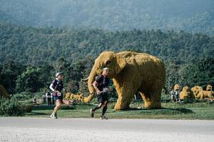 BIB: 
                            <button type="button" onclick="openModal(25875427)" class="btn btn-primary btn-sm float-right btn-popup" data-toggle="modal" data-target=".modal-high-quality">
                        <i class="fas fa-shopping-cart"></i> Add to Cart
                    </button>
                                            <button type="button" onclick="isThisMe(25875427, true)" class="btn btn-success btn-sm float-right btn-popup btn-isme hidden" data-toggle="tooltip" data-placement="bottom" title="นี่คือรูปของคุณใช่ไหม คลิกที่นี่เพื่อเอาเข้าอัลบั้ม">
                        <i class="fas fa-plus"></i> Add to album
                    </button>
                    <button type="button" onclick="isThisMe(25875427, false)" class="btn btn-warning btn-sm float-right btn-popup btn-isnotme hidden">
                        <i class="fas fa-ban"></i> Remove from album
                    </button>