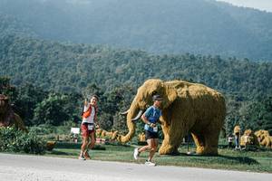 BIB: 
                            <button type="button" onclick="openModal(25887821)" class="btn btn-primary btn-sm float-right btn-popup" data-toggle="modal" data-target=".modal-high-quality">
                        <i class="fas fa-shopping-cart"></i> Add to Cart
                    </button>
                                            <button type="button" onclick="isThisMe(25887821, true)" class="btn btn-success btn-sm float-right btn-popup btn-isme hidden" data-toggle="tooltip" data-placement="bottom" title="นี่คือรูปของคุณใช่ไหม คลิกที่นี่เพื่อเอาเข้าอัลบั้ม">
                        <i class="fas fa-plus"></i> Add to album
                    </button>
                    <button type="button" onclick="isThisMe(25887821, false)" class="btn btn-warning btn-sm float-right btn-popup btn-isnotme hidden">
                        <i class="fas fa-ban"></i> Remove from album
                    </button>