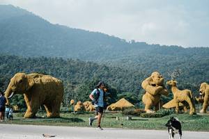 BIB: 
                            <button type="button" onclick="openModal(25890908)" class="btn btn-primary btn-sm float-right btn-popup" data-toggle="modal" data-target=".modal-high-quality">
                        <i class="fas fa-shopping-cart"></i> Add to Cart
                    </button>
                                            <button type="button" onclick="isThisMe(25890908, true)" class="btn btn-success btn-sm float-right btn-popup btn-isme hidden" data-toggle="tooltip" data-placement="bottom" title="นี่คือรูปของคุณใช่ไหม คลิกที่นี่เพื่อเอาเข้าอัลบั้ม">
                        <i class="fas fa-plus"></i> Add to album
                    </button>
                    <button type="button" onclick="isThisMe(25890908, false)" class="btn btn-warning btn-sm float-right btn-popup btn-isnotme hidden">
                        <i class="fas fa-ban"></i> Remove from album
                    </button>