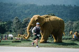 BIB: 
                            <button type="button" onclick="openModal(25963938)" class="btn btn-primary btn-sm float-right btn-popup" data-toggle="modal" data-target=".modal-high-quality">
                        <i class="fas fa-shopping-cart"></i> Add to Cart
                    </button>
                                            <button type="button" onclick="isThisMe(25963938, true)" class="btn btn-success btn-sm float-right btn-popup btn-isme hidden" data-toggle="tooltip" data-placement="bottom" title="นี่คือรูปของคุณใช่ไหม คลิกที่นี่เพื่อเอาเข้าอัลบั้ม">
                        <i class="fas fa-plus"></i> Add to album
                    </button>
                    <button type="button" onclick="isThisMe(25963938, false)" class="btn btn-warning btn-sm float-right btn-popup btn-isnotme hidden">
                        <i class="fas fa-ban"></i> Remove from album
                    </button>