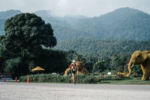 BIB: 
                            <button type="button" onclick="openModal(25871453)" class="btn btn-primary btn-sm float-right btn-popup" data-toggle="modal" data-target=".modal-high-quality">
                        <i class="fas fa-shopping-cart"></i> Add to Cart
                    </button>
                                            <button type="button" onclick="isThisMe(25871453, true)" class="btn btn-success btn-sm float-right btn-popup btn-isme hidden" data-toggle="tooltip" data-placement="bottom" title="นี่คือรูปของคุณใช่ไหม คลิกที่นี่เพื่อเอาเข้าอัลบั้ม">
                        <i class="fas fa-plus"></i> Add to album
                    </button>
                    <button type="button" onclick="isThisMe(25871453, false)" class="btn btn-warning btn-sm float-right btn-popup btn-isnotme hidden">
                        <i class="fas fa-ban"></i> Remove from album
                    </button>