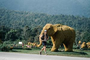 BIB: 
                            <button type="button" onclick="openModal(25887518)" class="btn btn-primary btn-sm float-right btn-popup" data-toggle="modal" data-target=".modal-high-quality">
                        <i class="fas fa-shopping-cart"></i> Add to Cart
                    </button>
                                            <button type="button" onclick="isThisMe(25887518, true)" class="btn btn-success btn-sm float-right btn-popup btn-isme hidden" data-toggle="tooltip" data-placement="bottom" title="นี่คือรูปของคุณใช่ไหม คลิกที่นี่เพื่อเอาเข้าอัลบั้ม">
                        <i class="fas fa-plus"></i> Add to album
                    </button>
                    <button type="button" onclick="isThisMe(25887518, false)" class="btn btn-warning btn-sm float-right btn-popup btn-isnotme hidden">
                        <i class="fas fa-ban"></i> Remove from album
                    </button>