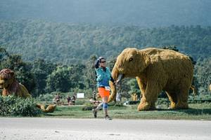 BIB: 
                            <button type="button" onclick="openModal(25941627)" class="btn btn-primary btn-sm float-right btn-popup" data-toggle="modal" data-target=".modal-high-quality">
                        <i class="fas fa-shopping-cart"></i> Add to Cart
                    </button>
                                            <button type="button" onclick="isThisMe(25941627, true)" class="btn btn-success btn-sm float-right btn-popup btn-isme hidden" data-toggle="tooltip" data-placement="bottom" title="นี่คือรูปของคุณใช่ไหม คลิกที่นี่เพื่อเอาเข้าอัลบั้ม">
                        <i class="fas fa-plus"></i> Add to album
                    </button>
                    <button type="button" onclick="isThisMe(25941627, false)" class="btn btn-warning btn-sm float-right btn-popup btn-isnotme hidden">
                        <i class="fas fa-ban"></i> Remove from album
                    </button>