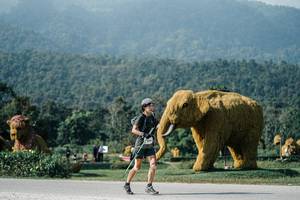 BIB: 
                            <button type="button" onclick="openModal(25877298)" class="btn btn-primary btn-sm float-right btn-popup" data-toggle="modal" data-target=".modal-high-quality">
                        <i class="fas fa-shopping-cart"></i> Add to Cart
                    </button>
                                            <button type="button" onclick="isThisMe(25877298, true)" class="btn btn-success btn-sm float-right btn-popup btn-isme hidden" data-toggle="tooltip" data-placement="bottom" title="นี่คือรูปของคุณใช่ไหม คลิกที่นี่เพื่อเอาเข้าอัลบั้ม">
                        <i class="fas fa-plus"></i> Add to album
                    </button>
                    <button type="button" onclick="isThisMe(25877298, false)" class="btn btn-warning btn-sm float-right btn-popup btn-isnotme hidden">
                        <i class="fas fa-ban"></i> Remove from album
                    </button>