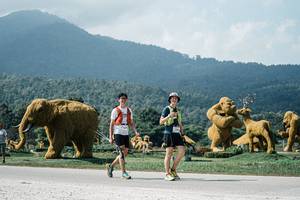 BIB: 
                            <button type="button" onclick="openModal(25947662)" class="btn btn-primary btn-sm float-right btn-popup" data-toggle="modal" data-target=".modal-high-quality">
                        <i class="fas fa-shopping-cart"></i> Add to Cart
                    </button>
                                            <button type="button" onclick="isThisMe(25947662, true)" class="btn btn-success btn-sm float-right btn-popup btn-isme hidden" data-toggle="tooltip" data-placement="bottom" title="นี่คือรูปของคุณใช่ไหม คลิกที่นี่เพื่อเอาเข้าอัลบั้ม">
                        <i class="fas fa-plus"></i> Add to album
                    </button>
                    <button type="button" onclick="isThisMe(25947662, false)" class="btn btn-warning btn-sm float-right btn-popup btn-isnotme hidden">
                        <i class="fas fa-ban"></i> Remove from album
                    </button>