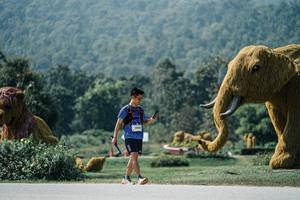 BIB: 
                            <button type="button" onclick="openModal(25969400)" class="btn btn-primary btn-sm float-right btn-popup" data-toggle="modal" data-target=".modal-high-quality">
                        <i class="fas fa-shopping-cart"></i> Add to Cart
                    </button>
                                            <button type="button" onclick="isThisMe(25969400, true)" class="btn btn-success btn-sm float-right btn-popup btn-isme hidden" data-toggle="tooltip" data-placement="bottom" title="นี่คือรูปของคุณใช่ไหม คลิกที่นี่เพื่อเอาเข้าอัลบั้ม">
                        <i class="fas fa-plus"></i> Add to album
                    </button>
                    <button type="button" onclick="isThisMe(25969400, false)" class="btn btn-warning btn-sm float-right btn-popup btn-isnotme hidden">
                        <i class="fas fa-ban"></i> Remove from album
                    </button>