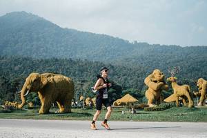 BIB: 
                            <button type="button" onclick="openModal(25872702)" class="btn btn-primary btn-sm float-right btn-popup" data-toggle="modal" data-target=".modal-high-quality">
                        <i class="fas fa-shopping-cart"></i> Add to Cart
                    </button>
                                            <button type="button" onclick="isThisMe(25872702, true)" class="btn btn-success btn-sm float-right btn-popup btn-isme hidden" data-toggle="tooltip" data-placement="bottom" title="นี่คือรูปของคุณใช่ไหม คลิกที่นี่เพื่อเอาเข้าอัลบั้ม">
                        <i class="fas fa-plus"></i> Add to album
                    </button>
                    <button type="button" onclick="isThisMe(25872702, false)" class="btn btn-warning btn-sm float-right btn-popup btn-isnotme hidden">
                        <i class="fas fa-ban"></i> Remove from album
                    </button>