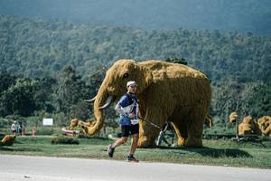 BIB: 
                            <button type="button" onclick="openModal(25942740)" class="btn btn-primary btn-sm float-right btn-popup" data-toggle="modal" data-target=".modal-high-quality">
                        <i class="fas fa-shopping-cart"></i> Add to Cart
                    </button>
                                            <button type="button" onclick="isThisMe(25942740, true)" class="btn btn-success btn-sm float-right btn-popup btn-isme hidden" data-toggle="tooltip" data-placement="bottom" title="นี่คือรูปของคุณใช่ไหม คลิกที่นี่เพื่อเอาเข้าอัลบั้ม">
                        <i class="fas fa-plus"></i> Add to album
                    </button>
                    <button type="button" onclick="isThisMe(25942740, false)" class="btn btn-warning btn-sm float-right btn-popup btn-isnotme hidden">
                        <i class="fas fa-ban"></i> Remove from album
                    </button>