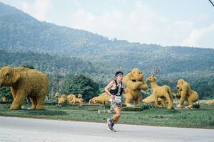 BIB: 
                            <button type="button" onclick="openModal(25869808)" class="btn btn-primary btn-sm float-right btn-popup" data-toggle="modal" data-target=".modal-high-quality">
                        <i class="fas fa-shopping-cart"></i> Add to Cart
                    </button>
                                            <button type="button" onclick="isThisMe(25869808, true)" class="btn btn-success btn-sm float-right btn-popup btn-isme hidden" data-toggle="tooltip" data-placement="bottom" title="นี่คือรูปของคุณใช่ไหม คลิกที่นี่เพื่อเอาเข้าอัลบั้ม">
                        <i class="fas fa-plus"></i> Add to album
                    </button>
                    <button type="button" onclick="isThisMe(25869808, false)" class="btn btn-warning btn-sm float-right btn-popup btn-isnotme hidden">
                        <i class="fas fa-ban"></i> Remove from album
                    </button>