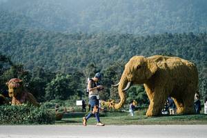 BIB: 
                            <button type="button" onclick="openModal(25874973)" class="btn btn-primary btn-sm float-right btn-popup" data-toggle="modal" data-target=".modal-high-quality">
                        <i class="fas fa-shopping-cart"></i> Add to Cart
                    </button>
                                            <button type="button" onclick="isThisMe(25874973, true)" class="btn btn-success btn-sm float-right btn-popup btn-isme hidden" data-toggle="tooltip" data-placement="bottom" title="นี่คือรูปของคุณใช่ไหม คลิกที่นี่เพื่อเอาเข้าอัลบั้ม">
                        <i class="fas fa-plus"></i> Add to album
                    </button>
                    <button type="button" onclick="isThisMe(25874973, false)" class="btn btn-warning btn-sm float-right btn-popup btn-isnotme hidden">
                        <i class="fas fa-ban"></i> Remove from album
                    </button>