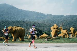 BIB: 
                            <button type="button" onclick="openModal(25871961)" class="btn btn-primary btn-sm float-right btn-popup" data-toggle="modal" data-target=".modal-high-quality">
                        <i class="fas fa-shopping-cart"></i> Add to Cart
                    </button>
                                            <button type="button" onclick="isThisMe(25871961, true)" class="btn btn-success btn-sm float-right btn-popup btn-isme hidden" data-toggle="tooltip" data-placement="bottom" title="นี่คือรูปของคุณใช่ไหม คลิกที่นี่เพื่อเอาเข้าอัลบั้ม">
                        <i class="fas fa-plus"></i> Add to album
                    </button>
                    <button type="button" onclick="isThisMe(25871961, false)" class="btn btn-warning btn-sm float-right btn-popup btn-isnotme hidden">
                        <i class="fas fa-ban"></i> Remove from album
                    </button>