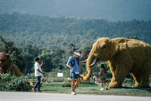 BIB: 
                            <button type="button" onclick="openModal(25946414)" class="btn btn-primary btn-sm float-right btn-popup" data-toggle="modal" data-target=".modal-high-quality">
                        <i class="fas fa-shopping-cart"></i> Add to Cart
                    </button>
                                            <button type="button" onclick="isThisMe(25946414, true)" class="btn btn-success btn-sm float-right btn-popup btn-isme hidden" data-toggle="tooltip" data-placement="bottom" title="นี่คือรูปของคุณใช่ไหม คลิกที่นี่เพื่อเอาเข้าอัลบั้ม">
                        <i class="fas fa-plus"></i> Add to album
                    </button>
                    <button type="button" onclick="isThisMe(25946414, false)" class="btn btn-warning btn-sm float-right btn-popup btn-isnotme hidden">
                        <i class="fas fa-ban"></i> Remove from album
                    </button>