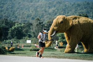 BIB: 
                            <button type="button" onclick="openModal(25926378)" class="btn btn-primary btn-sm float-right btn-popup" data-toggle="modal" data-target=".modal-high-quality">
                        <i class="fas fa-shopping-cart"></i> Add to Cart
                    </button>
                                            <button type="button" onclick="isThisMe(25926378, true)" class="btn btn-success btn-sm float-right btn-popup btn-isme hidden" data-toggle="tooltip" data-placement="bottom" title="นี่คือรูปของคุณใช่ไหม คลิกที่นี่เพื่อเอาเข้าอัลบั้ม">
                        <i class="fas fa-plus"></i> Add to album
                    </button>
                    <button type="button" onclick="isThisMe(25926378, false)" class="btn btn-warning btn-sm float-right btn-popup btn-isnotme hidden">
                        <i class="fas fa-ban"></i> Remove from album
                    </button>