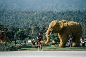 BIB: 
                            <button type="button" onclick="openModal(25883169)" class="btn btn-primary btn-sm float-right btn-popup" data-toggle="modal" data-target=".modal-high-quality">
                        <i class="fas fa-shopping-cart"></i> Add to Cart
                    </button>
                                            <button type="button" onclick="isThisMe(25883169, true)" class="btn btn-success btn-sm float-right btn-popup btn-isme hidden" data-toggle="tooltip" data-placement="bottom" title="นี่คือรูปของคุณใช่ไหม คลิกที่นี่เพื่อเอาเข้าอัลบั้ม">
                        <i class="fas fa-plus"></i> Add to album
                    </button>
                    <button type="button" onclick="isThisMe(25883169, false)" class="btn btn-warning btn-sm float-right btn-popup btn-isnotme hidden">
                        <i class="fas fa-ban"></i> Remove from album
                    </button>