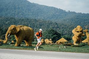 BIB: 
                            <button type="button" onclick="openModal(25870663)" class="btn btn-primary btn-sm float-right btn-popup" data-toggle="modal" data-target=".modal-high-quality">
                        <i class="fas fa-shopping-cart"></i> Add to Cart
                    </button>
                                            <button type="button" onclick="isThisMe(25870663, true)" class="btn btn-success btn-sm float-right btn-popup btn-isme hidden" data-toggle="tooltip" data-placement="bottom" title="นี่คือรูปของคุณใช่ไหม คลิกที่นี่เพื่อเอาเข้าอัลบั้ม">
                        <i class="fas fa-plus"></i> Add to album
                    </button>
                    <button type="button" onclick="isThisMe(25870663, false)" class="btn btn-warning btn-sm float-right btn-popup btn-isnotme hidden">
                        <i class="fas fa-ban"></i> Remove from album
                    </button>