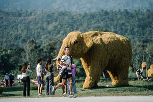 BIB: 
                            <button type="button" onclick="openModal(25881231)" class="btn btn-primary btn-sm float-right btn-popup" data-toggle="modal" data-target=".modal-high-quality">
                        <i class="fas fa-shopping-cart"></i> Add to Cart
                    </button>
                                            <button type="button" onclick="isThisMe(25881231, true)" class="btn btn-success btn-sm float-right btn-popup btn-isme hidden" data-toggle="tooltip" data-placement="bottom" title="นี่คือรูปของคุณใช่ไหม คลิกที่นี่เพื่อเอาเข้าอัลบั้ม">
                        <i class="fas fa-plus"></i> Add to album
                    </button>
                    <button type="button" onclick="isThisMe(25881231, false)" class="btn btn-warning btn-sm float-right btn-popup btn-isnotme hidden">
                        <i class="fas fa-ban"></i> Remove from album
                    </button>