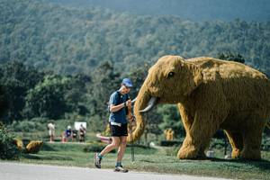 BIB: 
                            <button type="button" onclick="openModal(25933364)" class="btn btn-primary btn-sm float-right btn-popup" data-toggle="modal" data-target=".modal-high-quality">
                        <i class="fas fa-shopping-cart"></i> Add to Cart
                    </button>
                                            <button type="button" onclick="isThisMe(25933364, true)" class="btn btn-success btn-sm float-right btn-popup btn-isme hidden" data-toggle="tooltip" data-placement="bottom" title="นี่คือรูปของคุณใช่ไหม คลิกที่นี่เพื่อเอาเข้าอัลบั้ม">
                        <i class="fas fa-plus"></i> Add to album
                    </button>
                    <button type="button" onclick="isThisMe(25933364, false)" class="btn btn-warning btn-sm float-right btn-popup btn-isnotme hidden">
                        <i class="fas fa-ban"></i> Remove from album
                    </button>