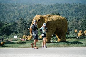 BIB: 
                            <button type="button" onclick="openModal(25915909)" class="btn btn-primary btn-sm float-right btn-popup" data-toggle="modal" data-target=".modal-high-quality">
                        <i class="fas fa-shopping-cart"></i> Add to Cart
                    </button>
                                            <button type="button" onclick="isThisMe(25915909, true)" class="btn btn-success btn-sm float-right btn-popup btn-isme hidden" data-toggle="tooltip" data-placement="bottom" title="นี่คือรูปของคุณใช่ไหม คลิกที่นี่เพื่อเอาเข้าอัลบั้ม">
                        <i class="fas fa-plus"></i> Add to album
                    </button>
                    <button type="button" onclick="isThisMe(25915909, false)" class="btn btn-warning btn-sm float-right btn-popup btn-isnotme hidden">
                        <i class="fas fa-ban"></i> Remove from album
                    </button>