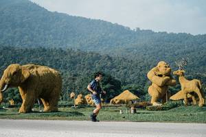 BIB: 
                            <button type="button" onclick="openModal(25871866)" class="btn btn-primary btn-sm float-right btn-popup" data-toggle="modal" data-target=".modal-high-quality">
                        <i class="fas fa-shopping-cart"></i> Add to Cart
                    </button>
                                            <button type="button" onclick="isThisMe(25871866, true)" class="btn btn-success btn-sm float-right btn-popup btn-isme hidden" data-toggle="tooltip" data-placement="bottom" title="นี่คือรูปของคุณใช่ไหม คลิกที่นี่เพื่อเอาเข้าอัลบั้ม">
                        <i class="fas fa-plus"></i> Add to album
                    </button>
                    <button type="button" onclick="isThisMe(25871866, false)" class="btn btn-warning btn-sm float-right btn-popup btn-isnotme hidden">
                        <i class="fas fa-ban"></i> Remove from album
                    </button>