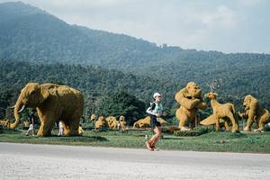 BIB: 
                            <button type="button" onclick="openModal(25873616)" class="btn btn-primary btn-sm float-right btn-popup" data-toggle="modal" data-target=".modal-high-quality">
                        <i class="fas fa-shopping-cart"></i> Add to Cart
                    </button>
                                            <button type="button" onclick="isThisMe(25873616, true)" class="btn btn-success btn-sm float-right btn-popup btn-isme hidden" data-toggle="tooltip" data-placement="bottom" title="นี่คือรูปของคุณใช่ไหม คลิกที่นี่เพื่อเอาเข้าอัลบั้ม">
                        <i class="fas fa-plus"></i> Add to album
                    </button>
                    <button type="button" onclick="isThisMe(25873616, false)" class="btn btn-warning btn-sm float-right btn-popup btn-isnotme hidden">
                        <i class="fas fa-ban"></i> Remove from album
                    </button>