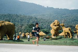 BIB: 
                            <button type="button" onclick="openModal(25918497)" class="btn btn-primary btn-sm float-right btn-popup" data-toggle="modal" data-target=".modal-high-quality">
                        <i class="fas fa-shopping-cart"></i> Add to Cart
                    </button>
                                            <button type="button" onclick="isThisMe(25918497, true)" class="btn btn-success btn-sm float-right btn-popup btn-isme hidden" data-toggle="tooltip" data-placement="bottom" title="นี่คือรูปของคุณใช่ไหม คลิกที่นี่เพื่อเอาเข้าอัลบั้ม">
                        <i class="fas fa-plus"></i> Add to album
                    </button>
                    <button type="button" onclick="isThisMe(25918497, false)" class="btn btn-warning btn-sm float-right btn-popup btn-isnotme hidden">
                        <i class="fas fa-ban"></i> Remove from album
                    </button>