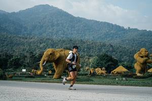 BIB: 
                            <button type="button" onclick="openModal(25870436)" class="btn btn-primary btn-sm float-right btn-popup" data-toggle="modal" data-target=".modal-high-quality">
                        <i class="fas fa-shopping-cart"></i> Add to Cart
                    </button>
                                            <button type="button" onclick="isThisMe(25870436, true)" class="btn btn-success btn-sm float-right btn-popup btn-isme hidden" data-toggle="tooltip" data-placement="bottom" title="นี่คือรูปของคุณใช่ไหม คลิกที่นี่เพื่อเอาเข้าอัลบั้ม">
                        <i class="fas fa-plus"></i> Add to album
                    </button>
                    <button type="button" onclick="isThisMe(25870436, false)" class="btn btn-warning btn-sm float-right btn-popup btn-isnotme hidden">
                        <i class="fas fa-ban"></i> Remove from album
                    </button>