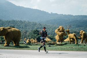 BIB: 
                            <button type="button" onclick="openModal(25968722)" class="btn btn-primary btn-sm float-right btn-popup" data-toggle="modal" data-target=".modal-high-quality">
                        <i class="fas fa-shopping-cart"></i> Add to Cart
                    </button>
                                            <button type="button" onclick="isThisMe(25968722, true)" class="btn btn-success btn-sm float-right btn-popup btn-isme hidden" data-toggle="tooltip" data-placement="bottom" title="นี่คือรูปของคุณใช่ไหม คลิกที่นี่เพื่อเอาเข้าอัลบั้ม">
                        <i class="fas fa-plus"></i> Add to album
                    </button>
                    <button type="button" onclick="isThisMe(25968722, false)" class="btn btn-warning btn-sm float-right btn-popup btn-isnotme hidden">
                        <i class="fas fa-ban"></i> Remove from album
                    </button>