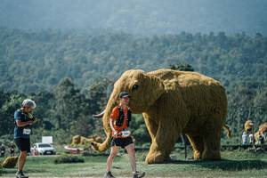 BIB: 
                            <button type="button" onclick="openModal(25967329)" class="btn btn-primary btn-sm float-right btn-popup" data-toggle="modal" data-target=".modal-high-quality">
                        <i class="fas fa-shopping-cart"></i> Add to Cart
                    </button>
                                            <button type="button" onclick="isThisMe(25967329, true)" class="btn btn-success btn-sm float-right btn-popup btn-isme hidden" data-toggle="tooltip" data-placement="bottom" title="นี่คือรูปของคุณใช่ไหม คลิกที่นี่เพื่อเอาเข้าอัลบั้ม">
                        <i class="fas fa-plus"></i> Add to album
                    </button>
                    <button type="button" onclick="isThisMe(25967329, false)" class="btn btn-warning btn-sm float-right btn-popup btn-isnotme hidden">
                        <i class="fas fa-ban"></i> Remove from album
                    </button>