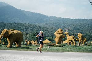 BIB: 
                            <button type="button" onclick="openModal(25888386)" class="btn btn-primary btn-sm float-right btn-popup" data-toggle="modal" data-target=".modal-high-quality">
                        <i class="fas fa-shopping-cart"></i> Add to Cart
                    </button>
                                            <button type="button" onclick="isThisMe(25888386, true)" class="btn btn-success btn-sm float-right btn-popup btn-isme hidden" data-toggle="tooltip" data-placement="bottom" title="นี่คือรูปของคุณใช่ไหม คลิกที่นี่เพื่อเอาเข้าอัลบั้ม">
                        <i class="fas fa-plus"></i> Add to album
                    </button>
                    <button type="button" onclick="isThisMe(25888386, false)" class="btn btn-warning btn-sm float-right btn-popup btn-isnotme hidden">
                        <i class="fas fa-ban"></i> Remove from album
                    </button>