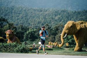 BIB: 
                            <button type="button" onclick="openModal(25887110)" class="btn btn-primary btn-sm float-right btn-popup" data-toggle="modal" data-target=".modal-high-quality">
                        <i class="fas fa-shopping-cart"></i> Add to Cart
                    </button>
                                            <button type="button" onclick="isThisMe(25887110, true)" class="btn btn-success btn-sm float-right btn-popup btn-isme hidden" data-toggle="tooltip" data-placement="bottom" title="นี่คือรูปของคุณใช่ไหม คลิกที่นี่เพื่อเอาเข้าอัลบั้ม">
                        <i class="fas fa-plus"></i> Add to album
                    </button>
                    <button type="button" onclick="isThisMe(25887110, false)" class="btn btn-warning btn-sm float-right btn-popup btn-isnotme hidden">
                        <i class="fas fa-ban"></i> Remove from album
                    </button>