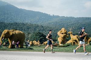 BIB: 
                            <button type="button" onclick="openModal(25874547)" class="btn btn-primary btn-sm float-right btn-popup" data-toggle="modal" data-target=".modal-high-quality">
                        <i class="fas fa-shopping-cart"></i> Add to Cart
                    </button>
                                            <button type="button" onclick="isThisMe(25874547, true)" class="btn btn-success btn-sm float-right btn-popup btn-isme hidden" data-toggle="tooltip" data-placement="bottom" title="นี่คือรูปของคุณใช่ไหม คลิกที่นี่เพื่อเอาเข้าอัลบั้ม">
                        <i class="fas fa-plus"></i> Add to album
                    </button>
                    <button type="button" onclick="isThisMe(25874547, false)" class="btn btn-warning btn-sm float-right btn-popup btn-isnotme hidden">
                        <i class="fas fa-ban"></i> Remove from album
                    </button>