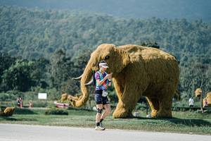 BIB: 
                            <button type="button" onclick="openModal(25921476)" class="btn btn-primary btn-sm float-right btn-popup" data-toggle="modal" data-target=".modal-high-quality">
                        <i class="fas fa-shopping-cart"></i> Add to Cart
                    </button>
                                            <button type="button" onclick="isThisMe(25921476, true)" class="btn btn-success btn-sm float-right btn-popup btn-isme hidden" data-toggle="tooltip" data-placement="bottom" title="นี่คือรูปของคุณใช่ไหม คลิกที่นี่เพื่อเอาเข้าอัลบั้ม">
                        <i class="fas fa-plus"></i> Add to album
                    </button>
                    <button type="button" onclick="isThisMe(25921476, false)" class="btn btn-warning btn-sm float-right btn-popup btn-isnotme hidden">
                        <i class="fas fa-ban"></i> Remove from album
                    </button>