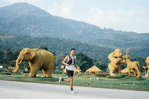 BIB: 
                            <button type="button" onclick="openModal(25869963)" class="btn btn-primary btn-sm float-right btn-popup" data-toggle="modal" data-target=".modal-high-quality">
                        <i class="fas fa-shopping-cart"></i> Add to Cart
                    </button>
                                            <button type="button" onclick="isThisMe(25869963, true)" class="btn btn-success btn-sm float-right btn-popup btn-isme hidden" data-toggle="tooltip" data-placement="bottom" title="นี่คือรูปของคุณใช่ไหม คลิกที่นี่เพื่อเอาเข้าอัลบั้ม">
                        <i class="fas fa-plus"></i> Add to album
                    </button>
                    <button type="button" onclick="isThisMe(25869963, false)" class="btn btn-warning btn-sm float-right btn-popup btn-isnotme hidden">
                        <i class="fas fa-ban"></i> Remove from album
                    </button>