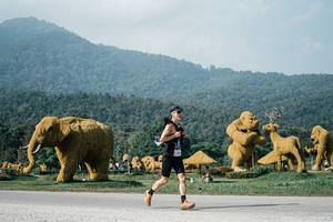 BIB: 
                            <button type="button" onclick="openModal(25872716)" class="btn btn-primary btn-sm float-right btn-popup" data-toggle="modal" data-target=".modal-high-quality">
                        <i class="fas fa-shopping-cart"></i> Add to Cart
                    </button>
                                            <button type="button" onclick="isThisMe(25872716, true)" class="btn btn-success btn-sm float-right btn-popup btn-isme hidden" data-toggle="tooltip" data-placement="bottom" title="นี่คือรูปของคุณใช่ไหม คลิกที่นี่เพื่อเอาเข้าอัลบั้ม">
                        <i class="fas fa-plus"></i> Add to album
                    </button>
                    <button type="button" onclick="isThisMe(25872716, false)" class="btn btn-warning btn-sm float-right btn-popup btn-isnotme hidden">
                        <i class="fas fa-ban"></i> Remove from album
                    </button>