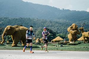 BIB: 
                            <button type="button" onclick="openModal(25965488)" class="btn btn-primary btn-sm float-right btn-popup" data-toggle="modal" data-target=".modal-high-quality">
                        <i class="fas fa-shopping-cart"></i> Add to Cart
                    </button>
                                            <button type="button" onclick="isThisMe(25965488, true)" class="btn btn-success btn-sm float-right btn-popup btn-isme hidden" data-toggle="tooltip" data-placement="bottom" title="นี่คือรูปของคุณใช่ไหม คลิกที่นี่เพื่อเอาเข้าอัลบั้ม">
                        <i class="fas fa-plus"></i> Add to album
                    </button>
                    <button type="button" onclick="isThisMe(25965488, false)" class="btn btn-warning btn-sm float-right btn-popup btn-isnotme hidden">
                        <i class="fas fa-ban"></i> Remove from album
                    </button>